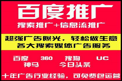 深度解析：SEM竞价优化提升ROI的案例
